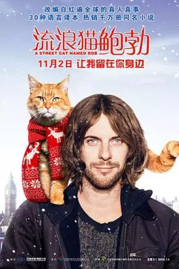 流浪猫鲍勃[探长解说]