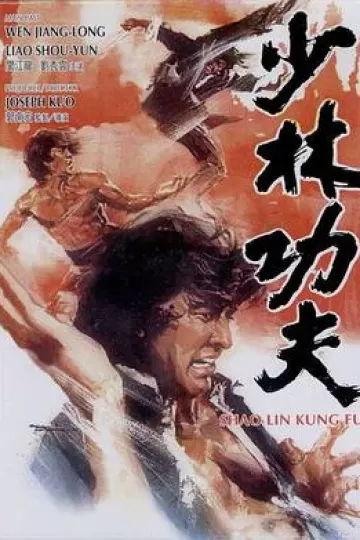 少林功夫[电影解说]