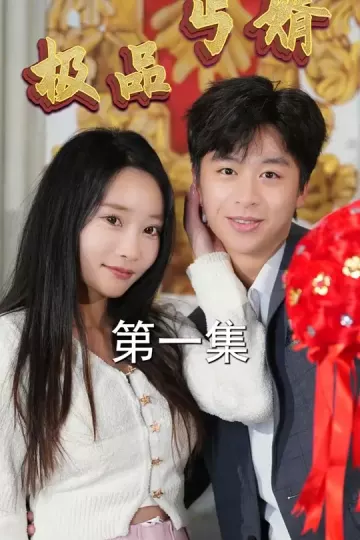 极品丐婿