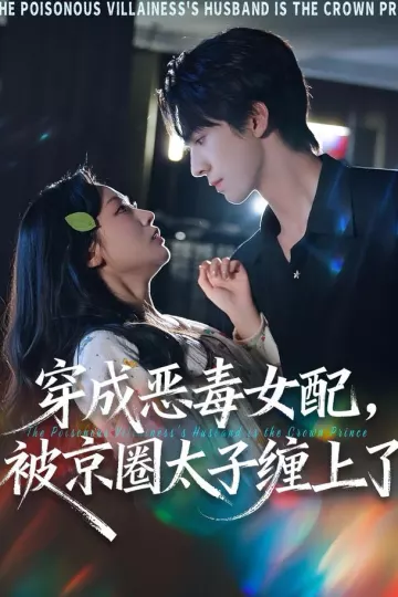 穿成恶毒女配被京圈太子缠上了
