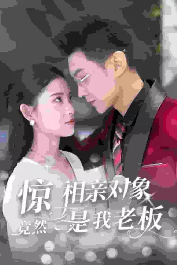 惊相亲对象竟然是我老板
