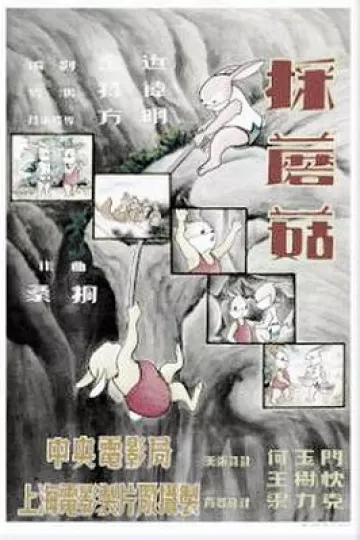 采蘑菇[电影解说]