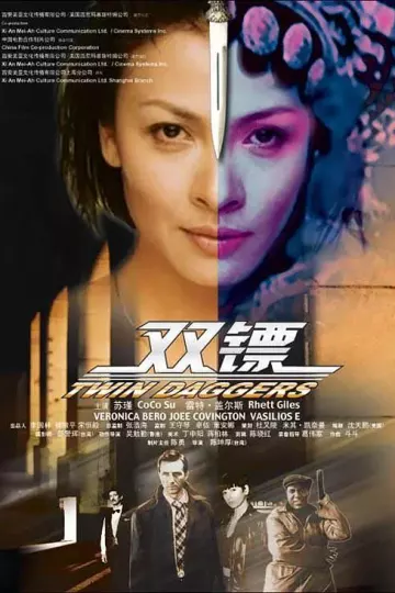 双镖2008