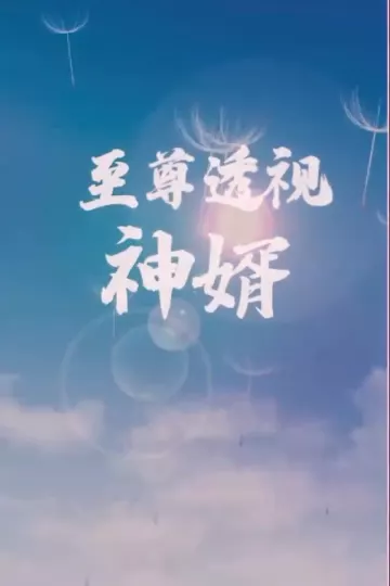 至尊透视神婿合集版