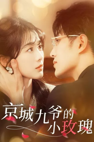 京城九爷的小玫瑰