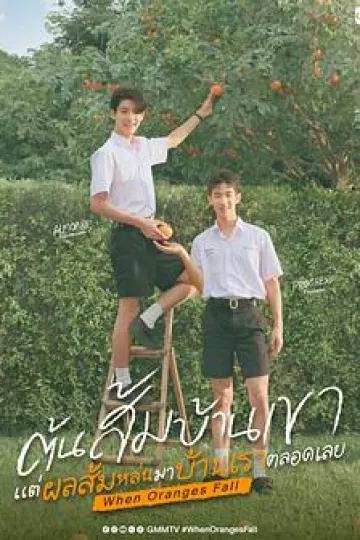 当橘子掉落时