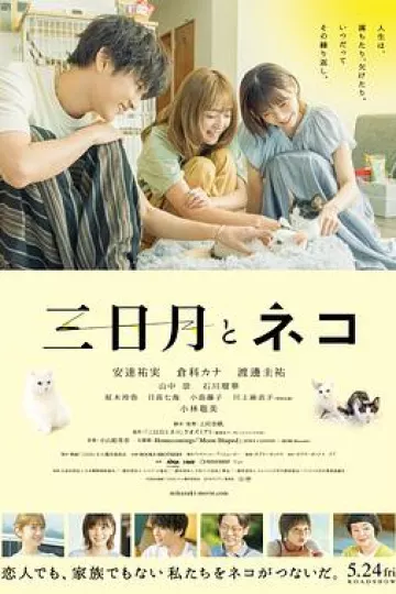 三日月与猫