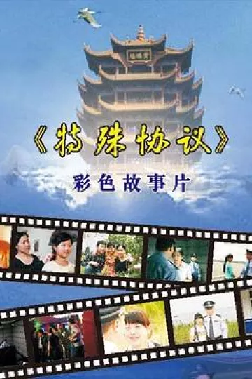 特殊协议
