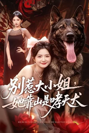 别惹大小姐,她靠山是哮天犬
