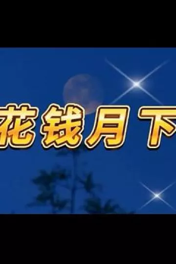 花钱月下