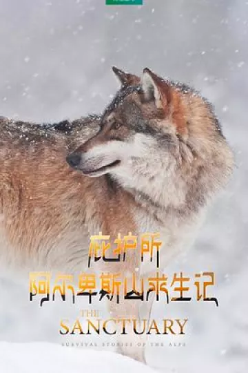 庇护所：阿尔卑斯山求生记[电影解说]