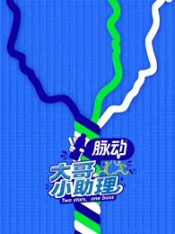 大哥小助理
