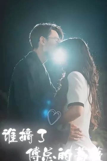 谁摘了傅总的蔷薇