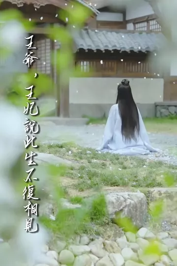 王爷，王妃说此生不复相见