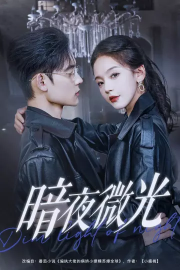 暗夜微光