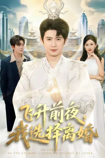 飞升前夜，我选择离婚