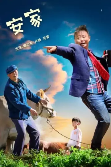 安家2022