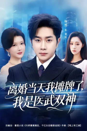 离婚当天我摊牌了,我是医武双神
