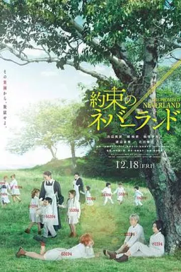 约定的梦幻岛真人版