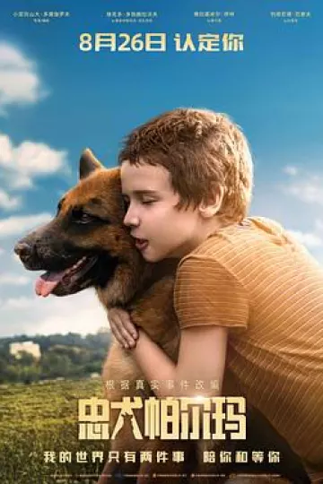 忠犬帕尔玛[电影解说]