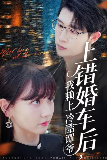 上错婚车后我赖上冷酷谭爷