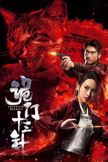 诡门十三针