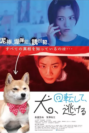 狗转了一圈 逃跑了