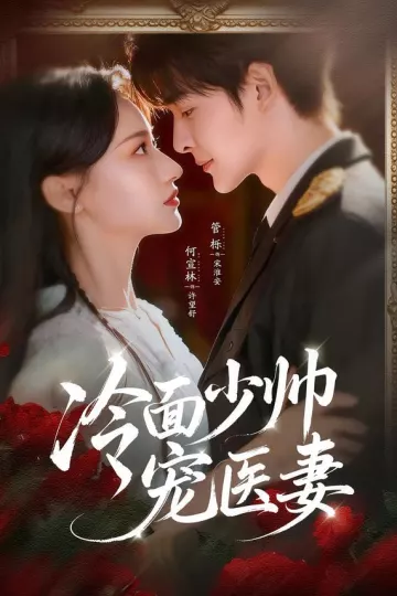 冷面少帅宠医妻