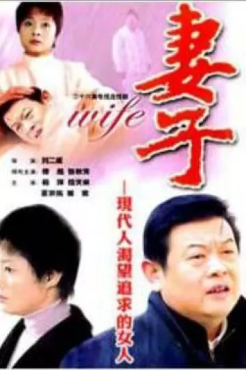 妻子2004[电影解说]