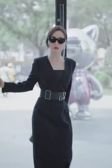 二十九