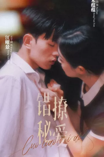 错撩秘爱