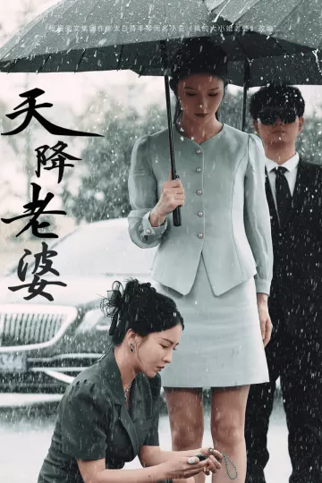 天降老婆