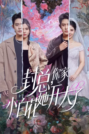 封总,你家小白花她开大了