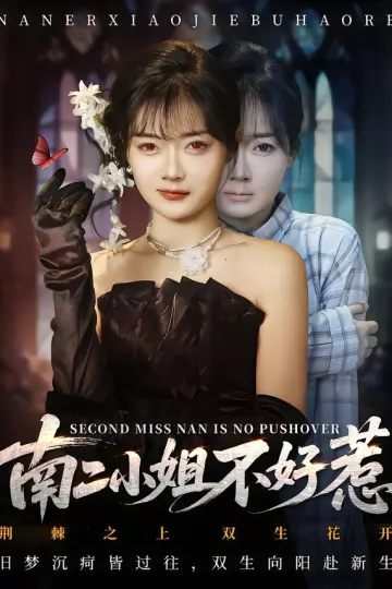 南二小姐不好惹