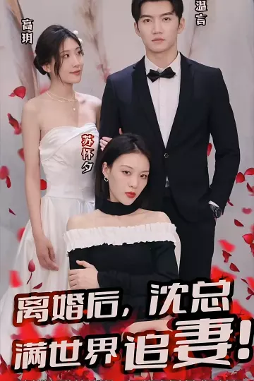 离婚后，沈总满世界追妻