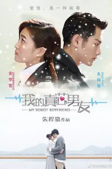 我的真芯男友