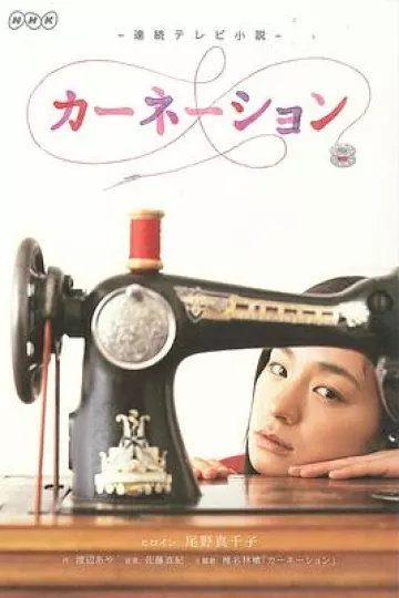 康乃馨