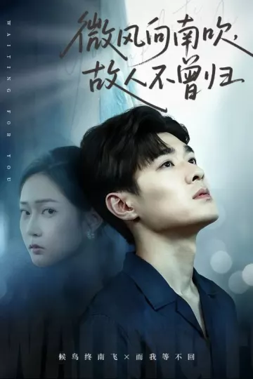 微风向南吹,故人不曾归