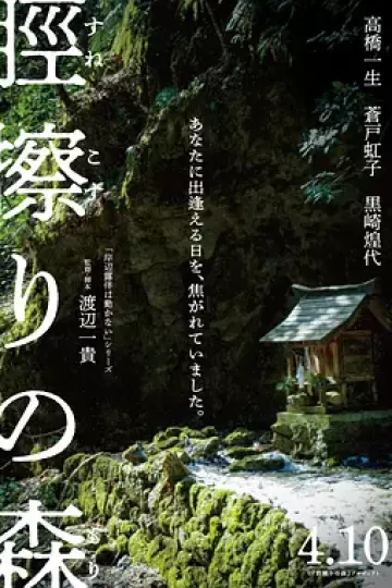 胫擦之森