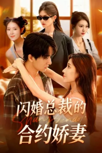闪婚总裁契约妻