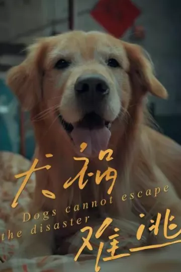 犬祸难逃