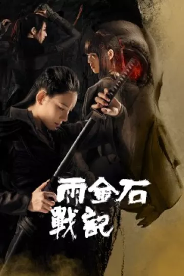 雨金石战记