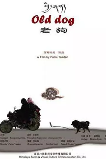 老狗2011