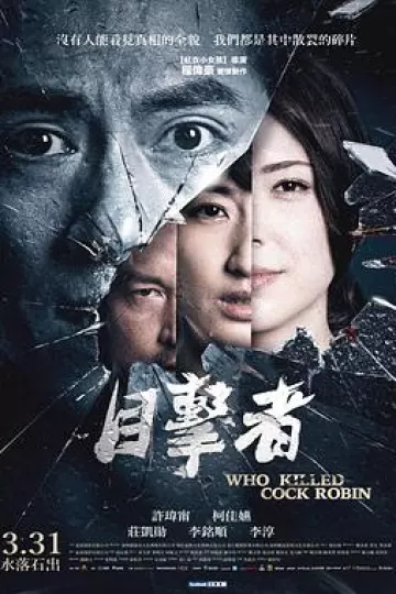 目击者之追凶[电影解说]