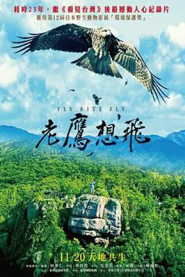 老鹰想飞