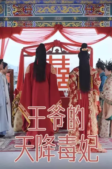 王爷的天降毒妃