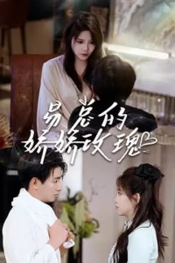 易总的娇娇玫瑰