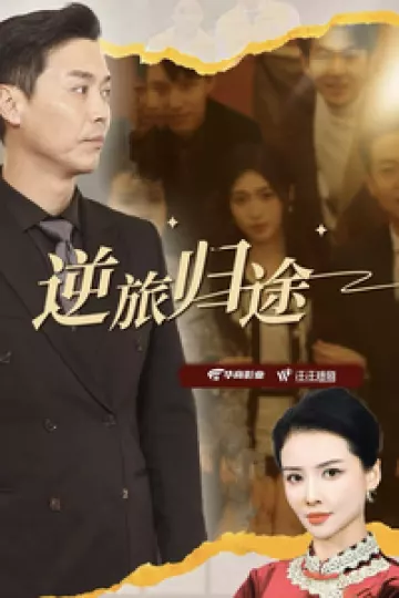 逆旅归途