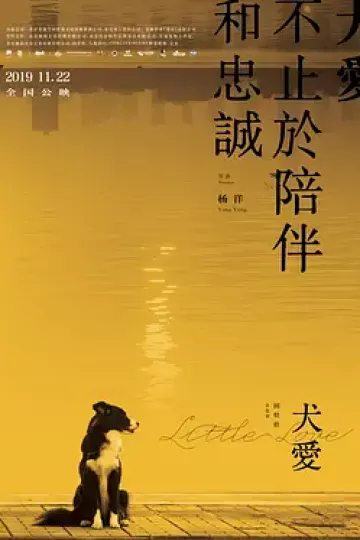犬爱2019
