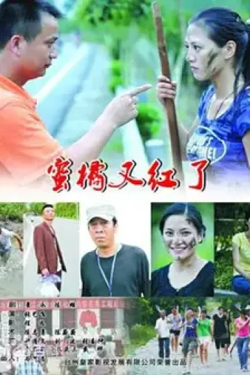 蜜橘又红了